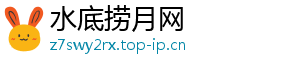 水底捞月网